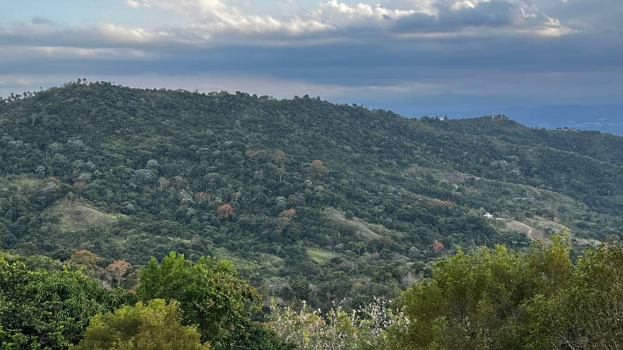 Loma de Gurabo