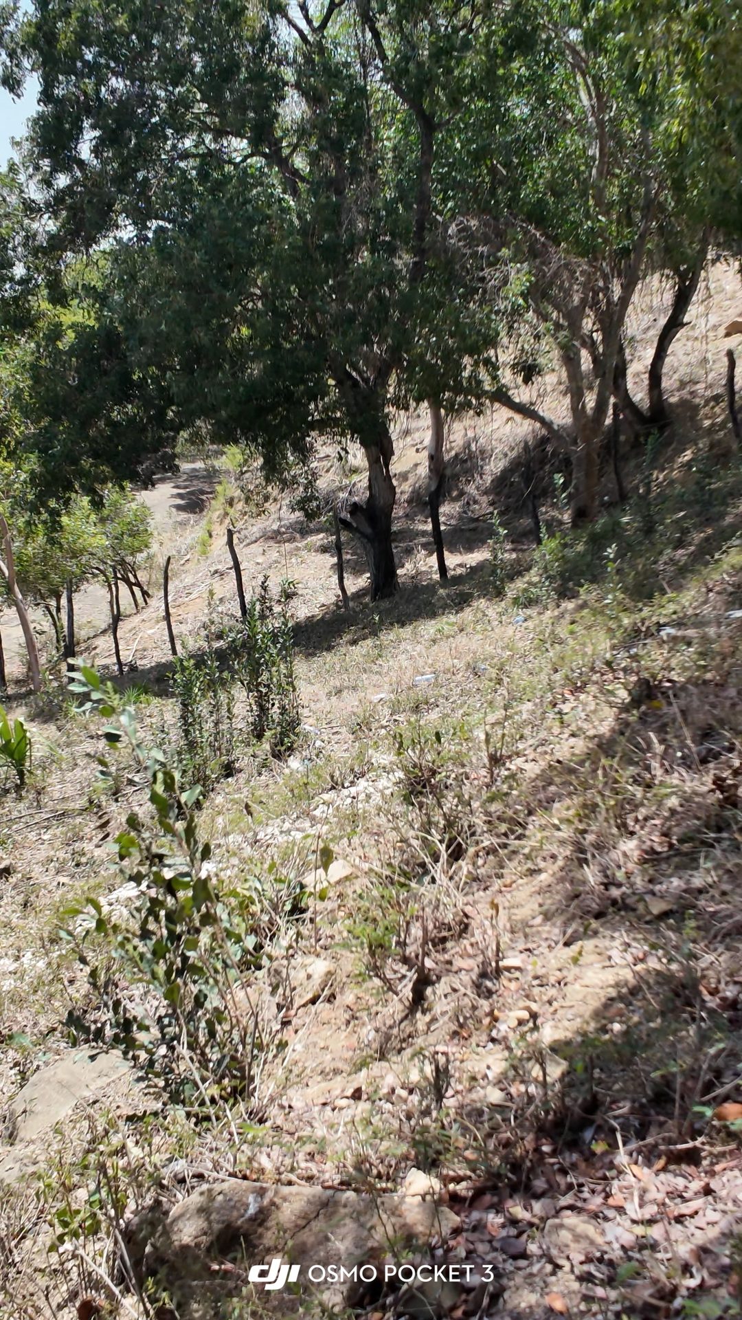 Terreno 660 mts Loma de Gurabo