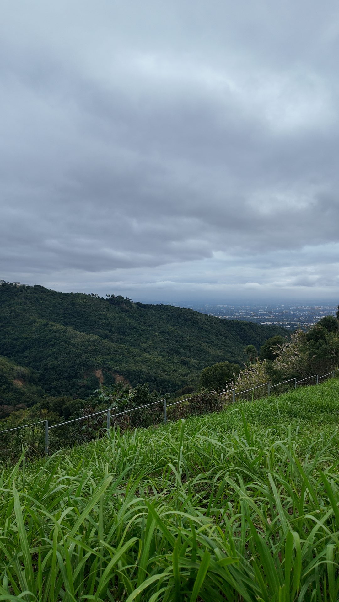 Terreno 988 mts Loma de Gurabo