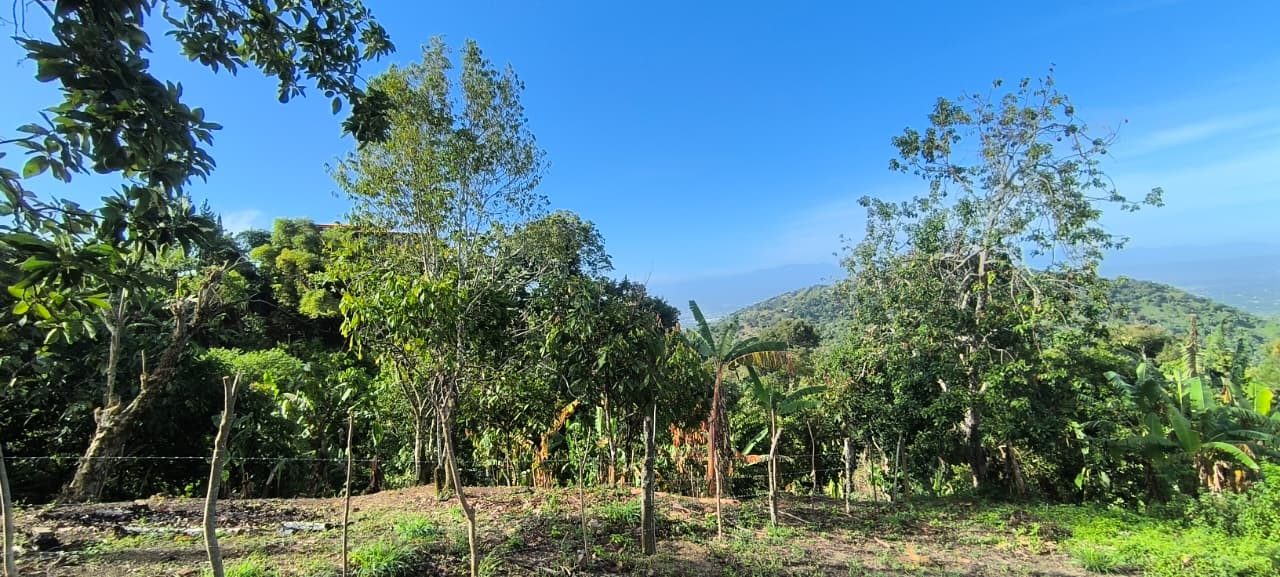 Terreno 912 mts Loma Jacagua